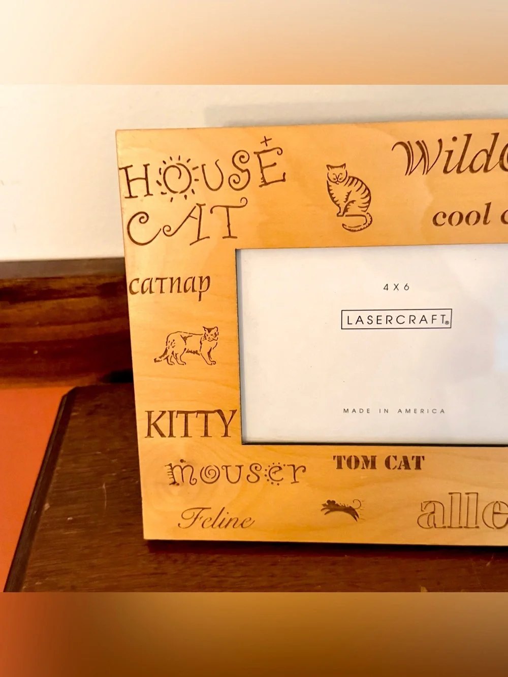 N/A vintage cat